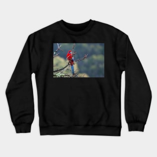 Crimson Rosella Crewneck Sweatshirt